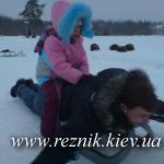 Санковая лошадь