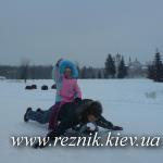 Санковая лошадь