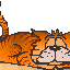 Кот (анимированный 100x64)