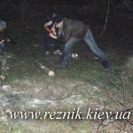 Ночной лесоповал