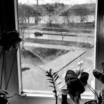 Эстетика военного времени