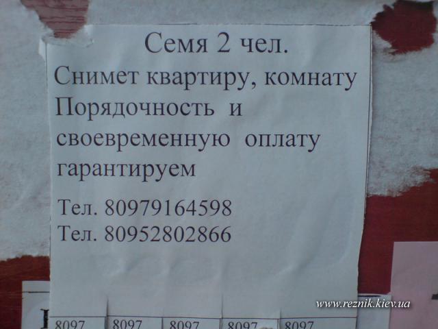 Кто кто снимет квартиру?