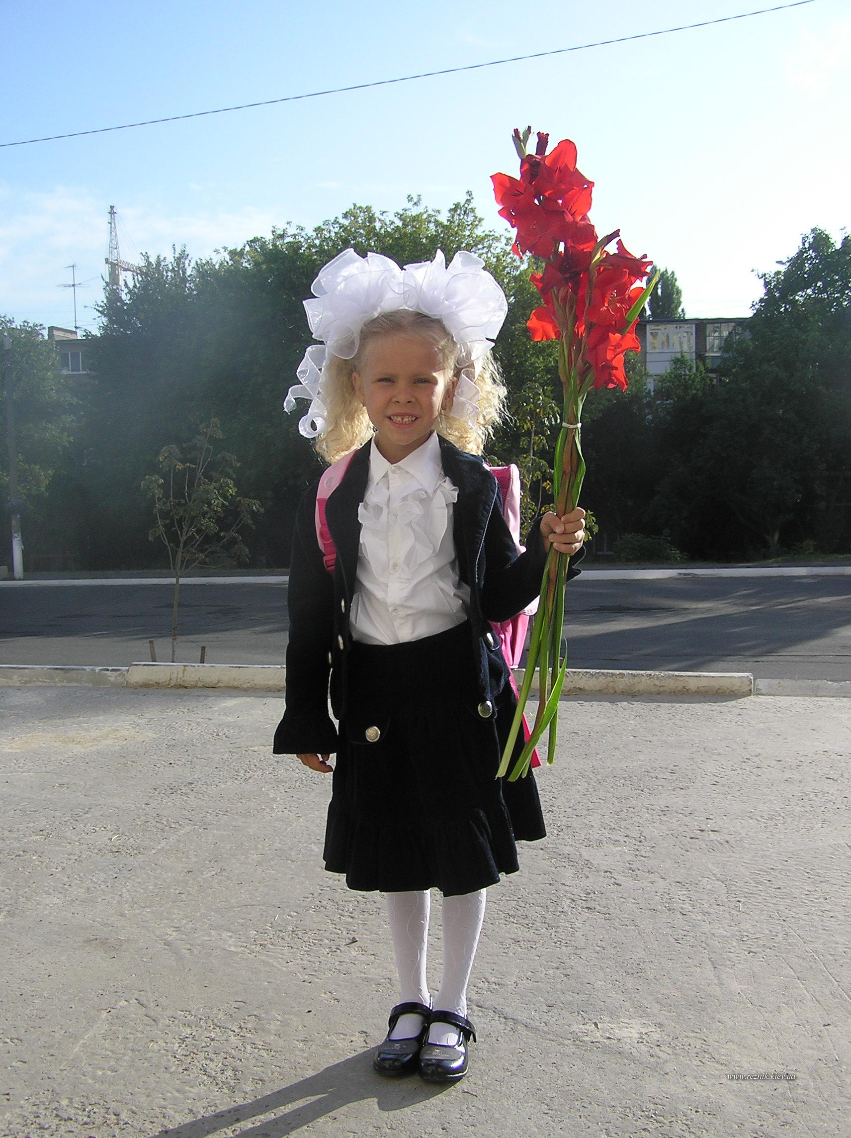 Долгая дорога в школу началась