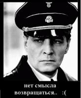 Штирлиц (311x378)