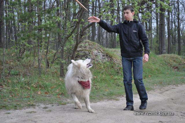 30 апреля - 1 мая. Черепашинецкий карьер