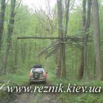 1 мая. Поход к лесному кордону