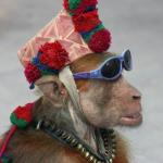 Красная шапочка (595x700)