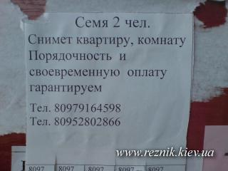 Кто кто снимет квартиру?